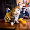 Photos, Video: Inside The Cat Fashion Show At The Legendary Algonquin Hotel